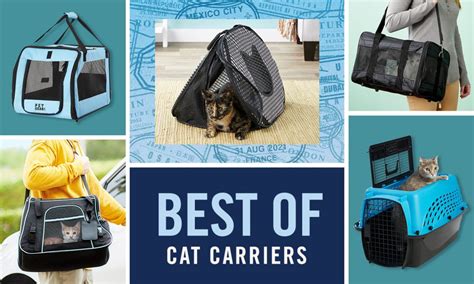 12 Best Cat Carriers .